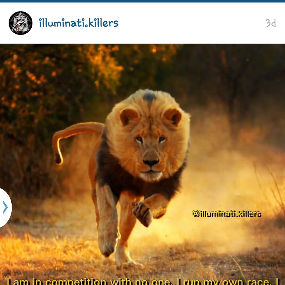 Meet your Posher, Slick